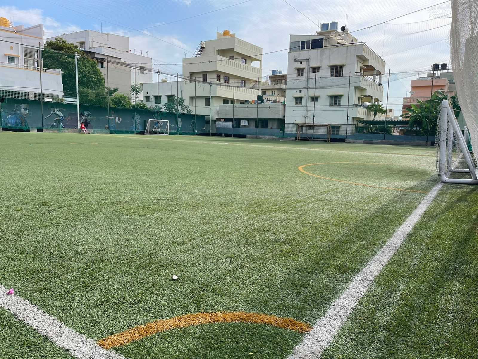 Turf photo 7