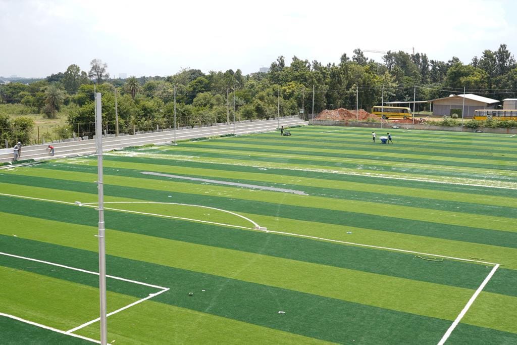 Turf photo 8