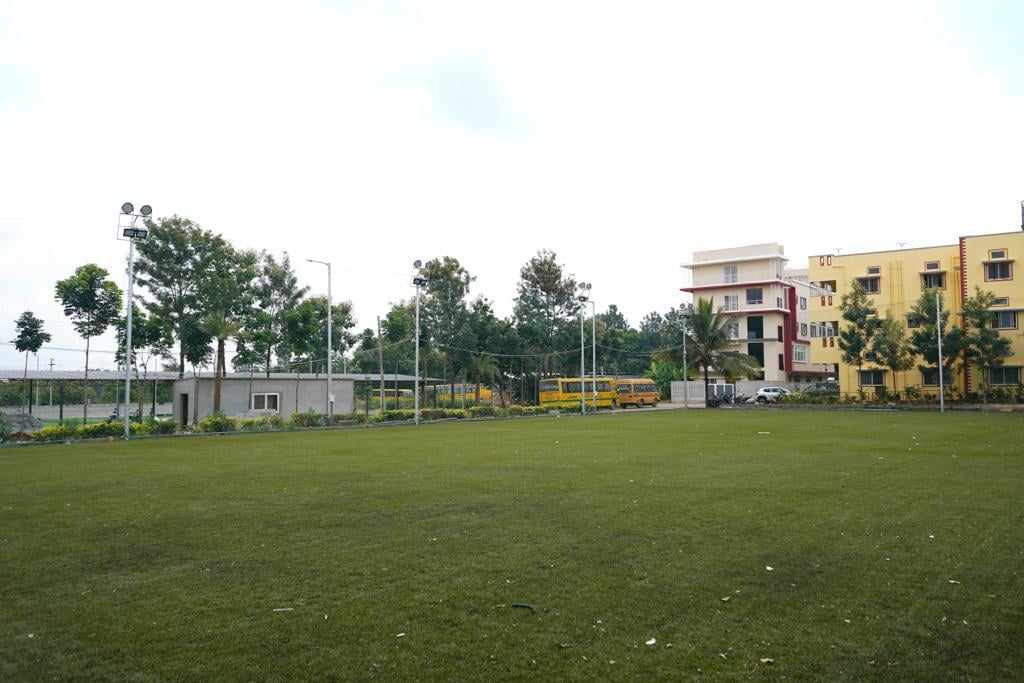 Turf photo 9