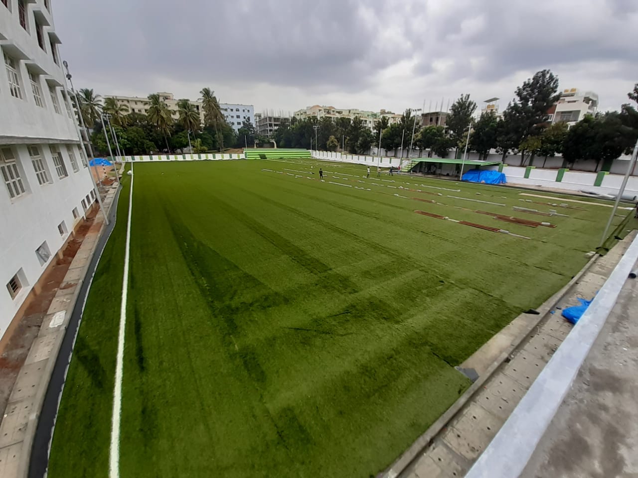 Turf photo 9