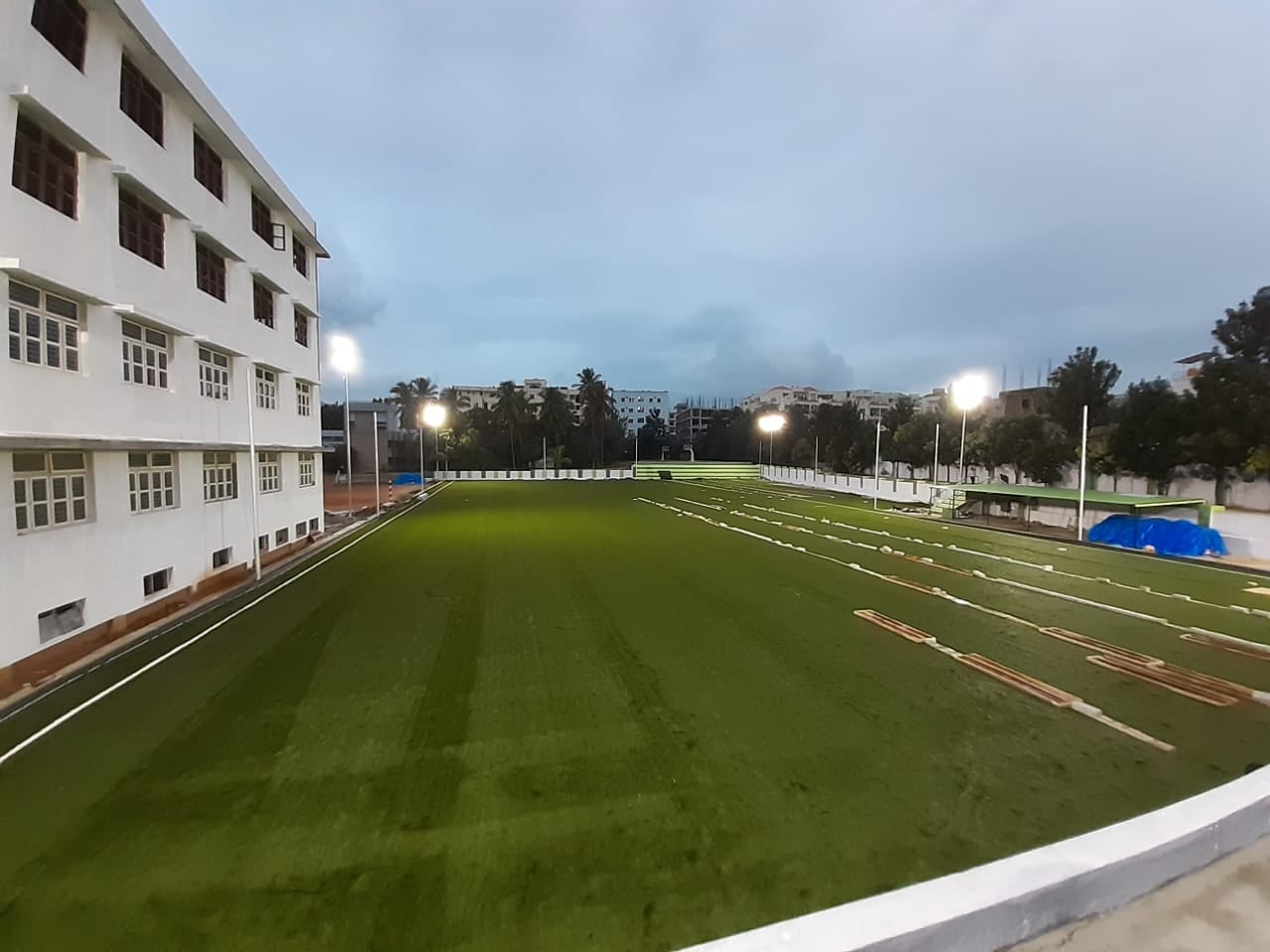 Turf photo 10