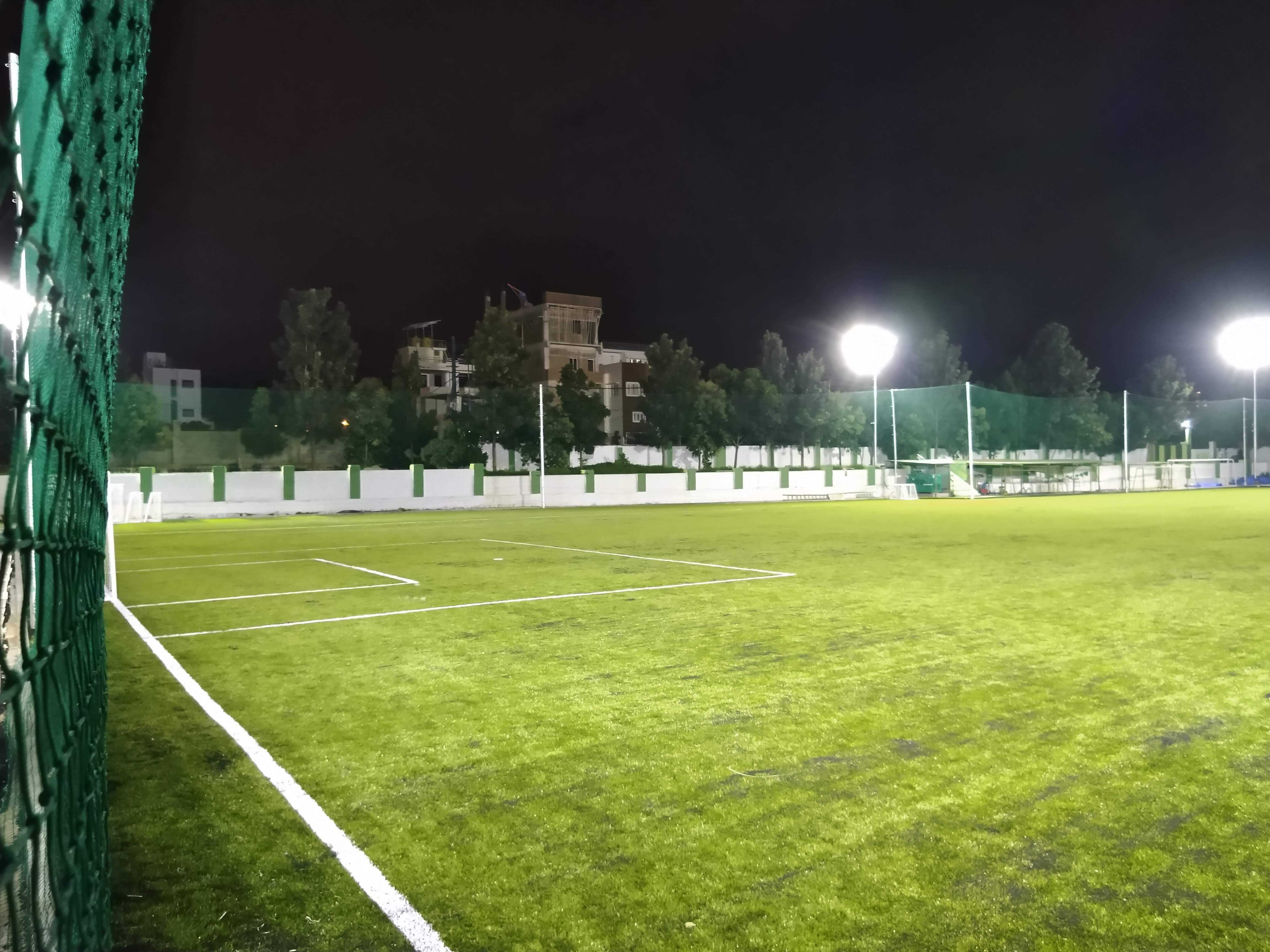 Turf photo 11