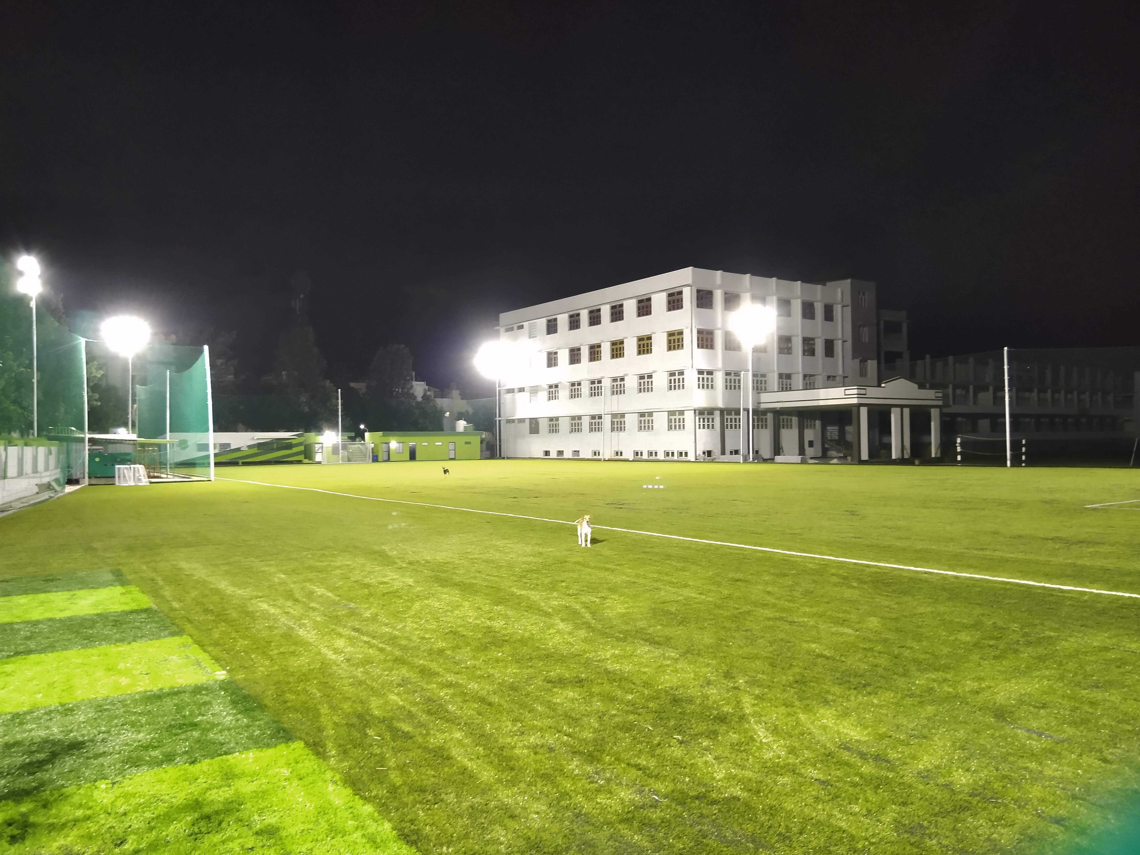 Turf photo 12