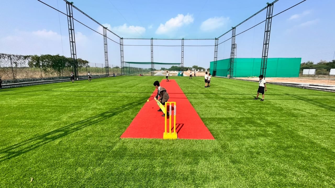 Turf photo 3