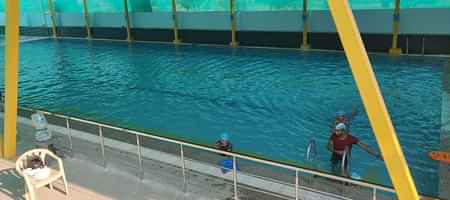 Kiran International Swimming Academy (Indoor Pool)