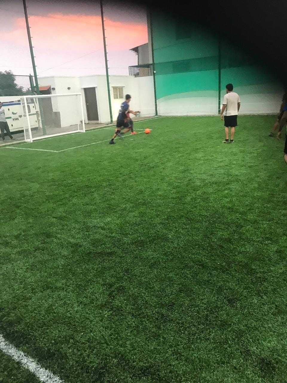 Turf photo 2