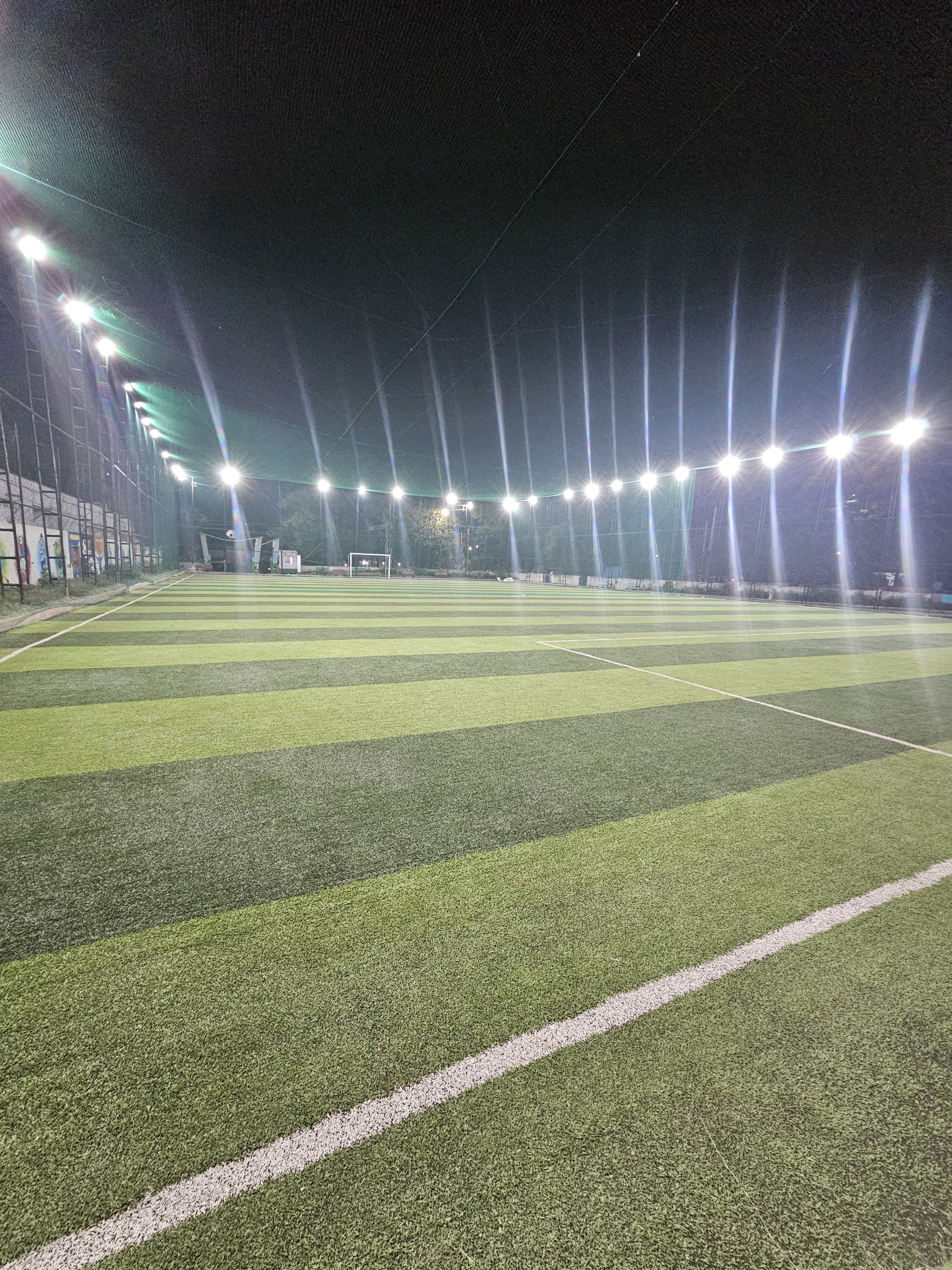 Turf photo 7