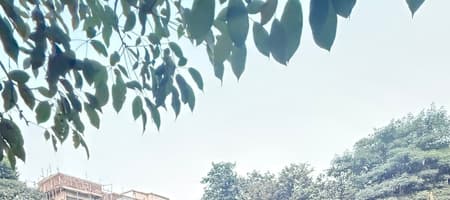 Krida Football and Cricket