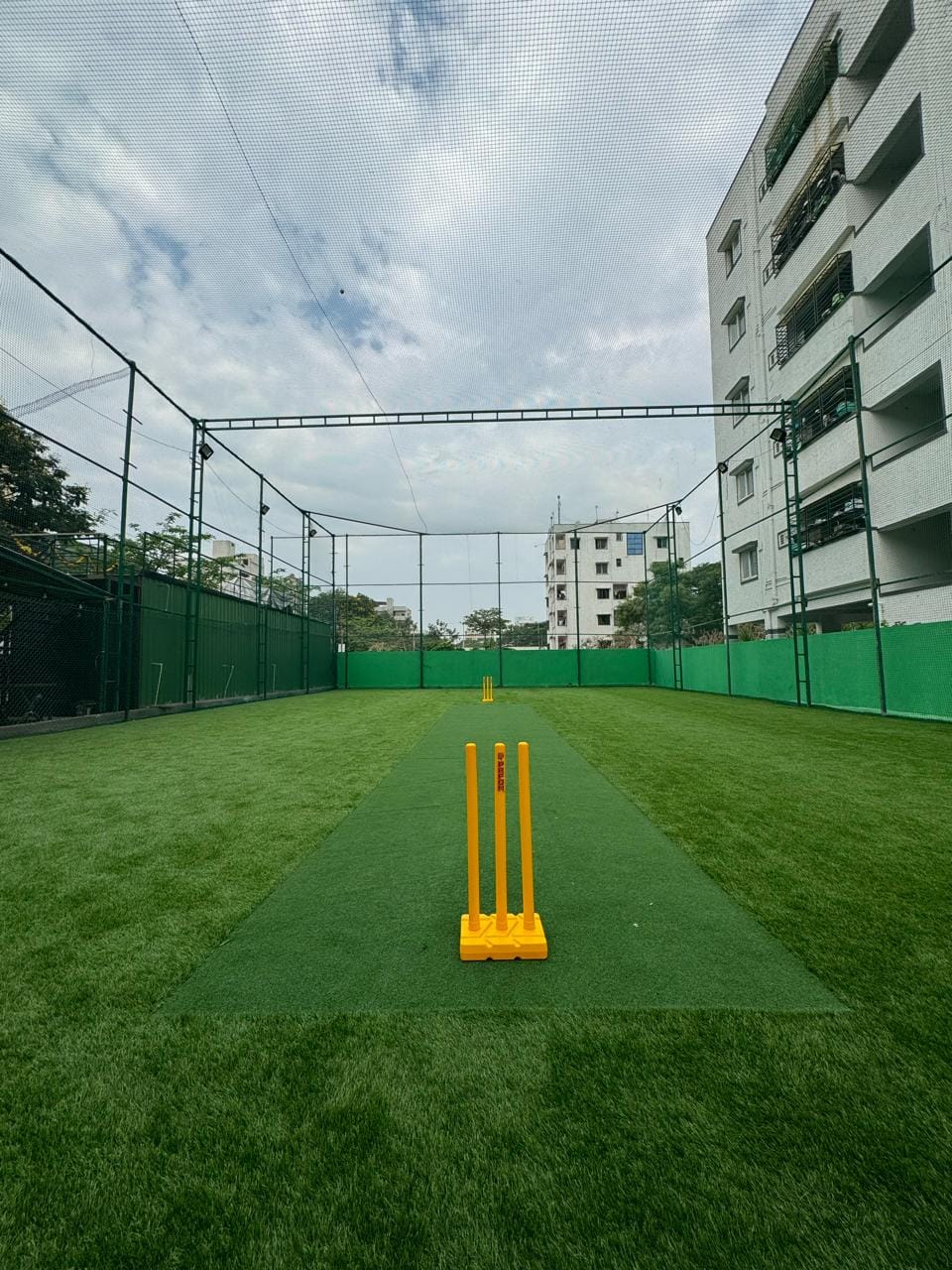 Turf photo 6