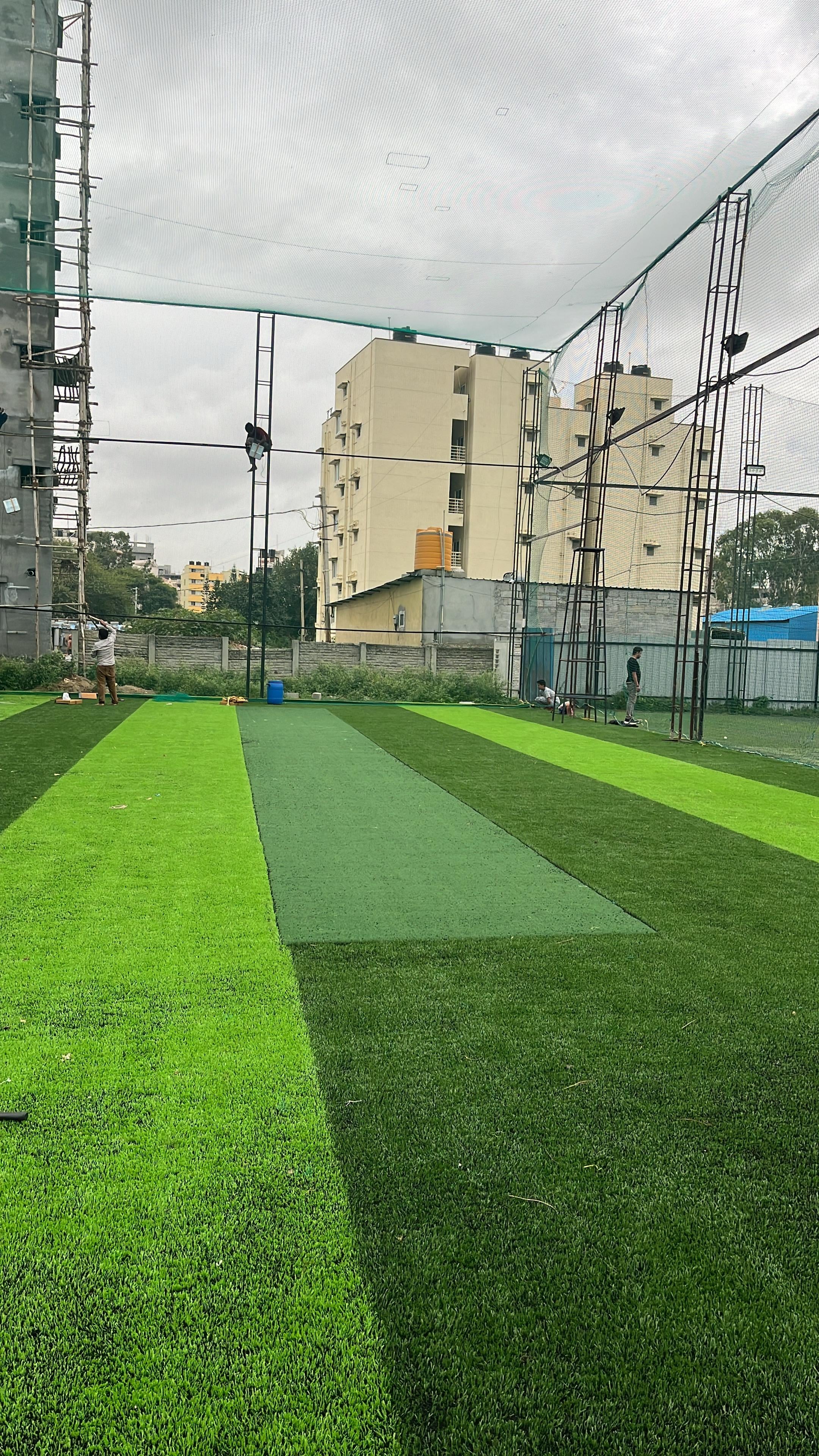 Turf photo 10