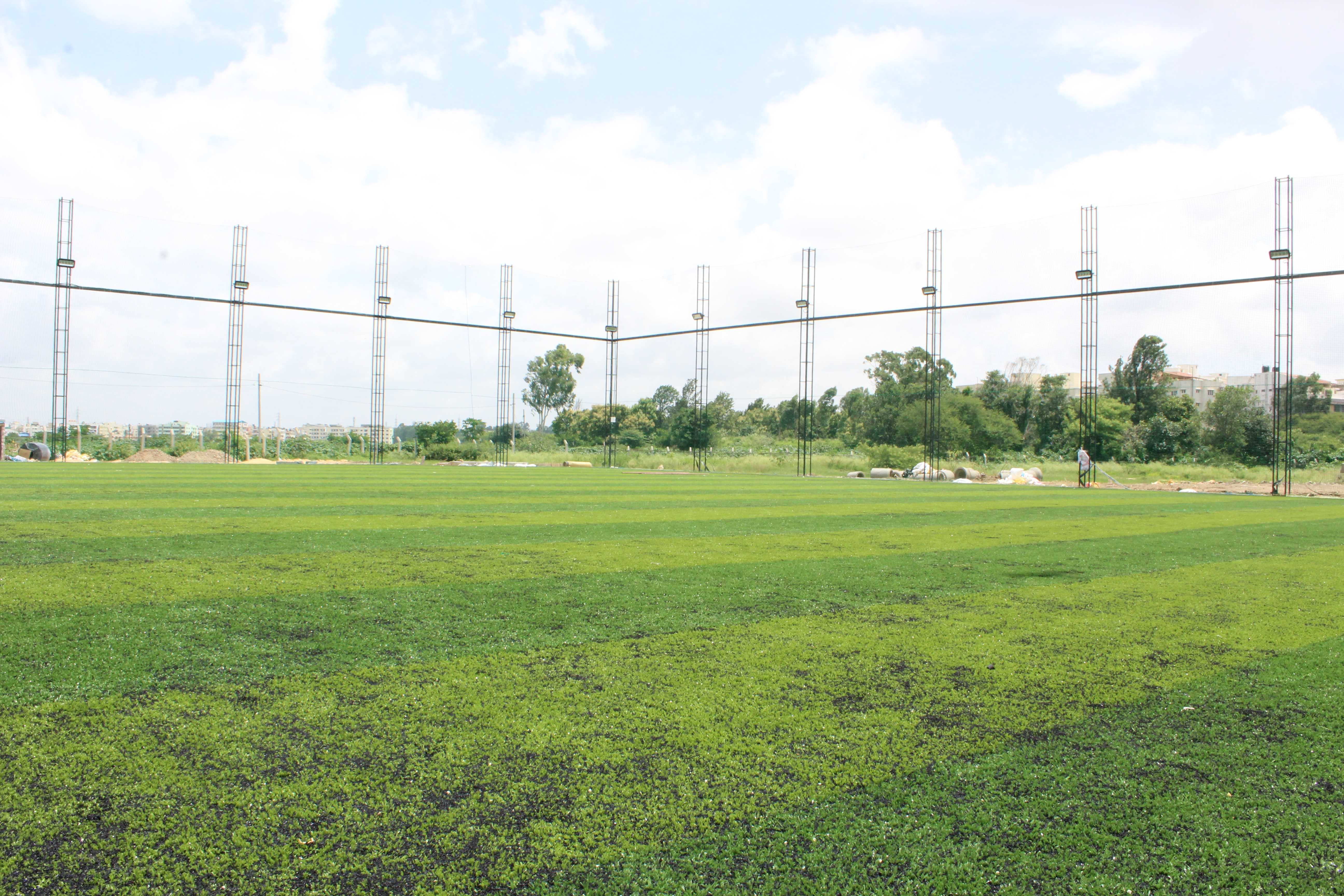 Turf photo 11
