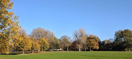 Lammas Park