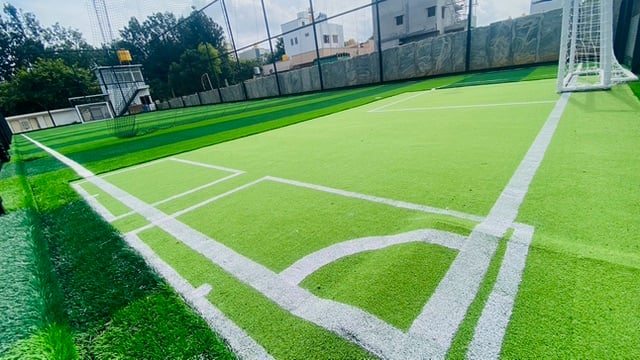 Turf photo 5