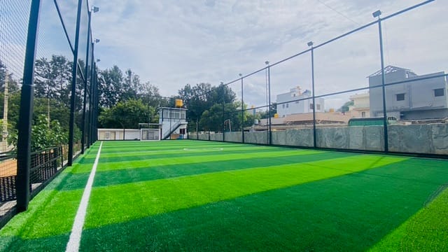 Turf photo 6
