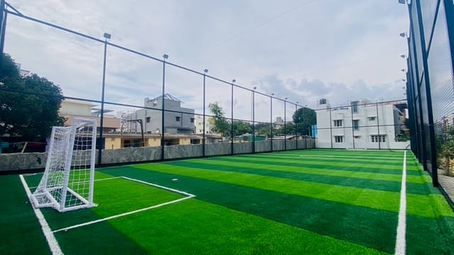 Turf photo 9