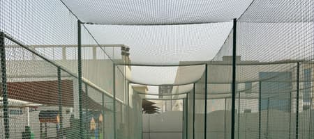Leaders Sports Services - International School of Creative Science