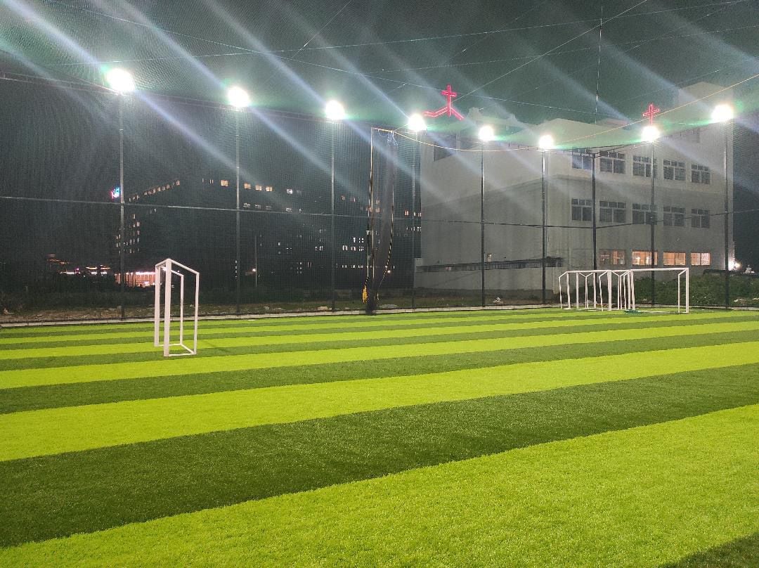 Turf photo 6