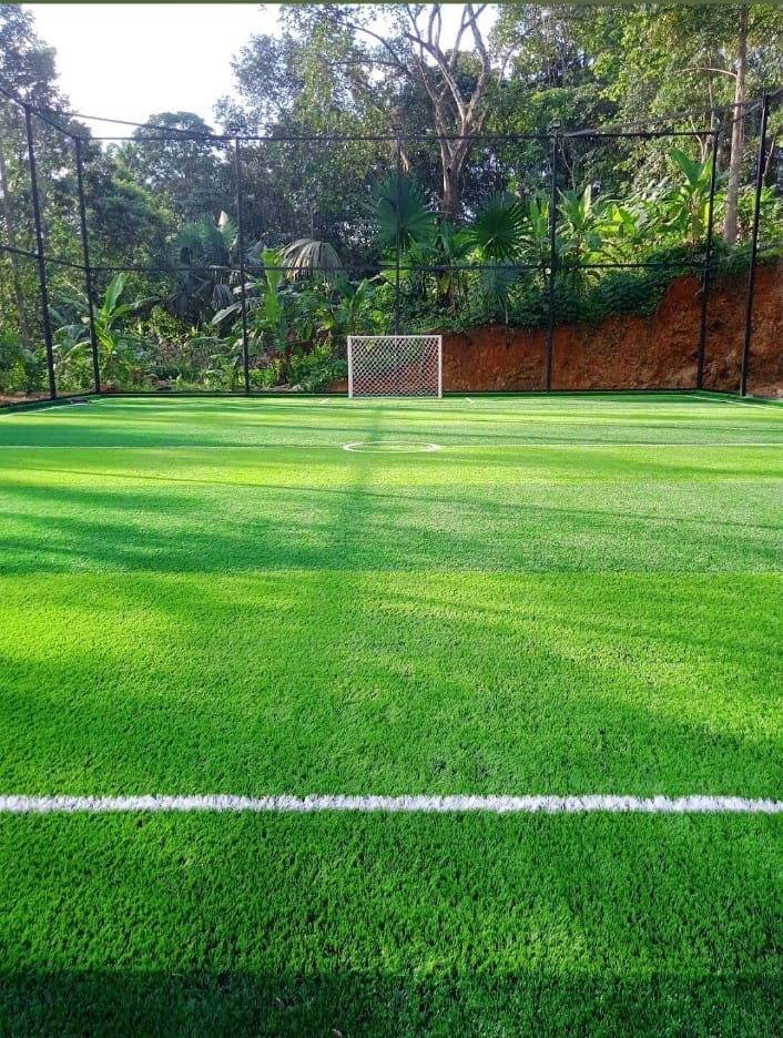 LeGreens Football Turf
