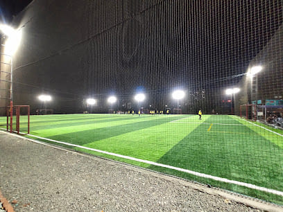 Leno Sports Park Balkum Turf