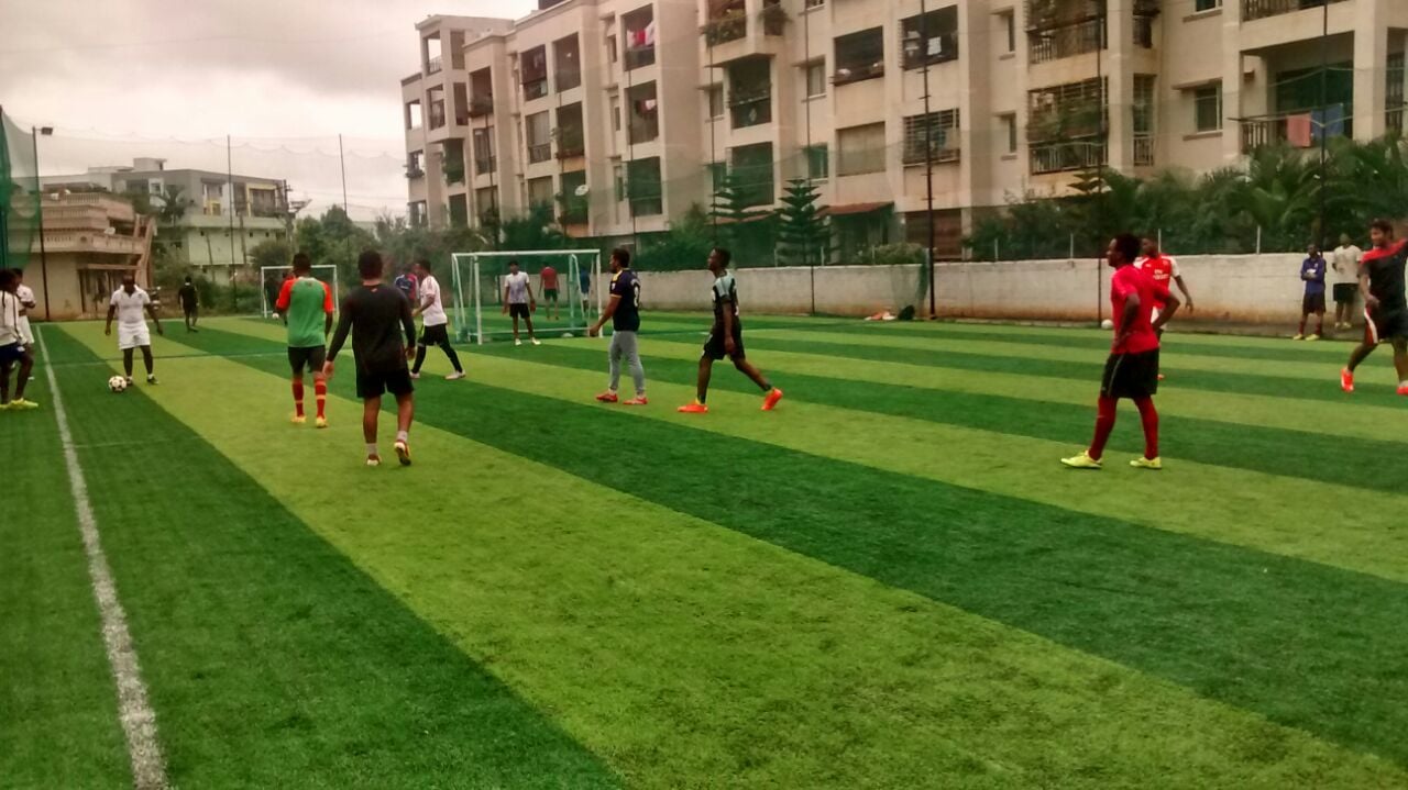 Turf photo 9