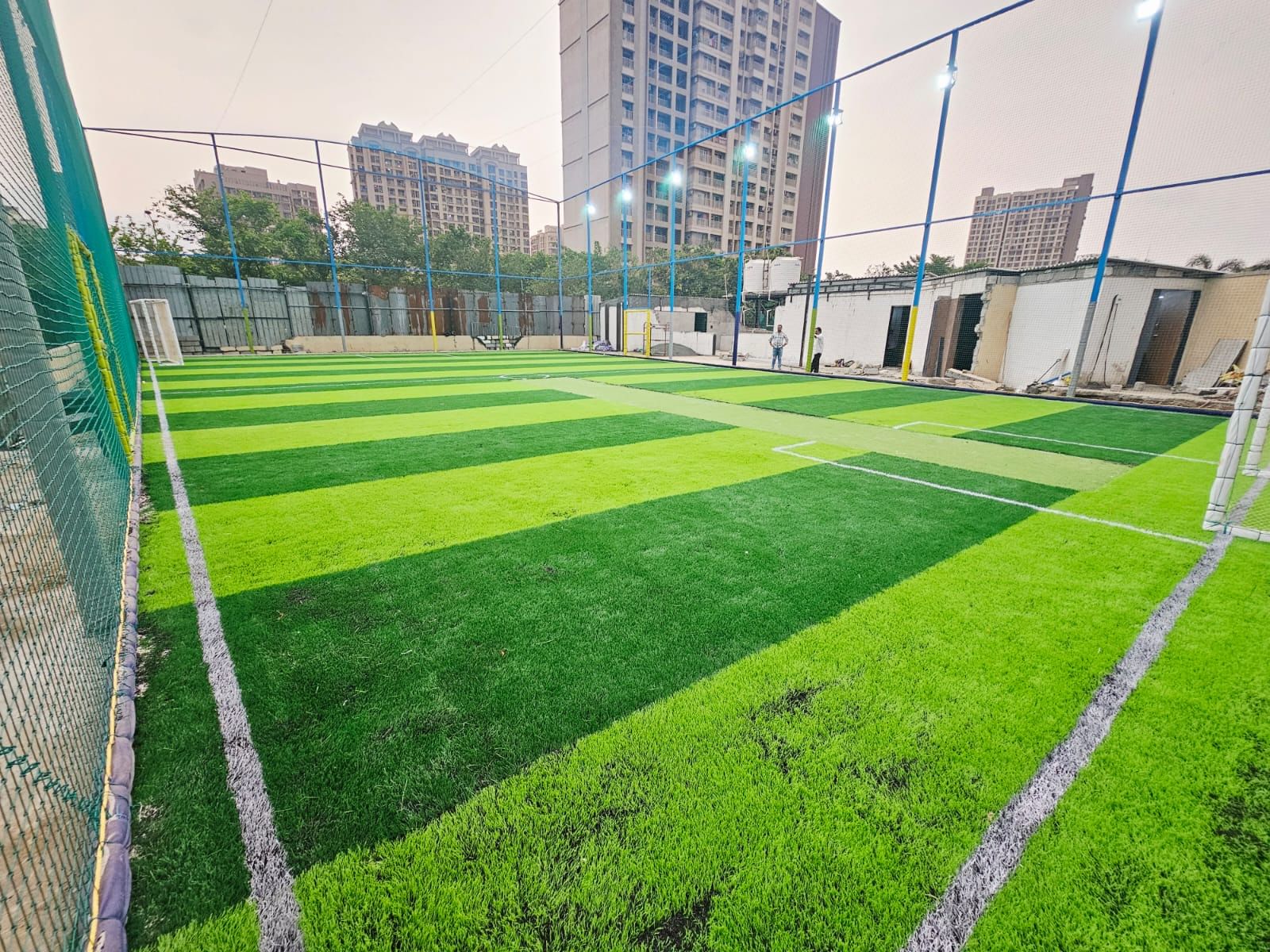 Lion Cage Turf