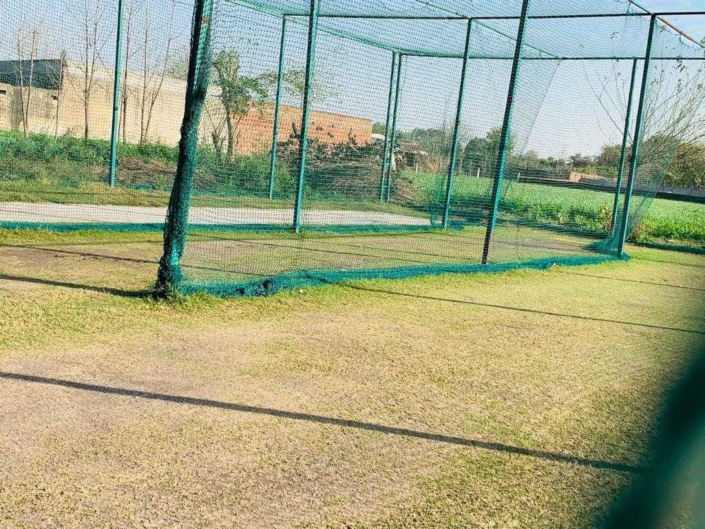 Turf photo 4