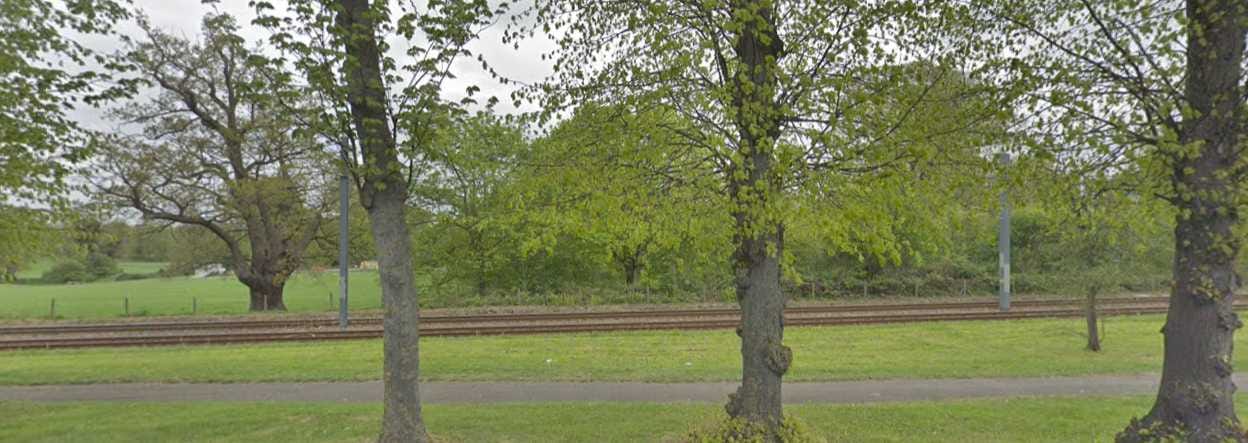 Lloyd Park Disc Golf Course