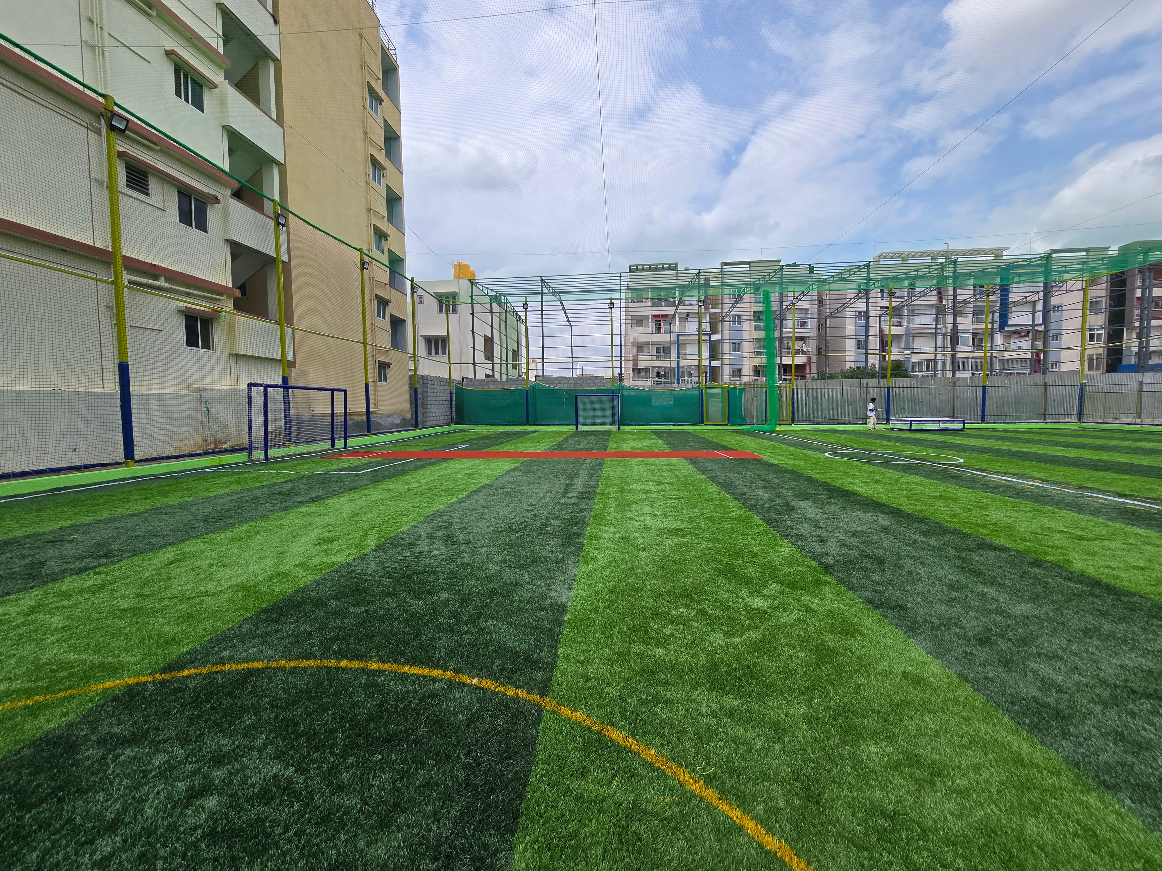Turf photo 7