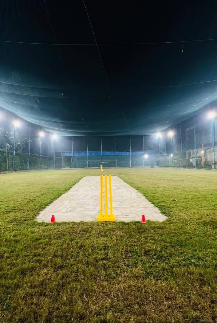 Love Passion Cricket Turf