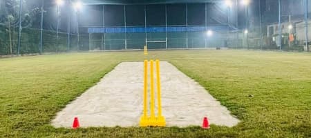 Love Passion Cricket Turf