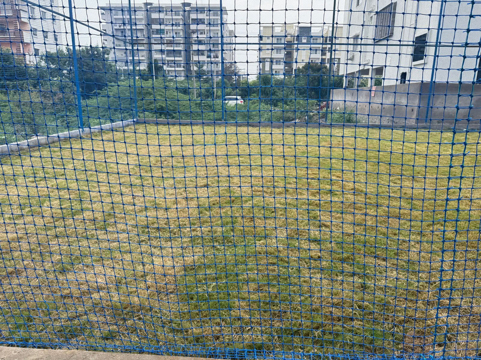 Turf photo 8