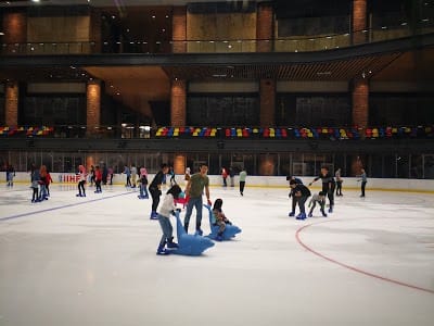 Malaysia National Ice Skating Stadium (MYNISS)