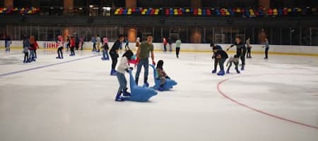 Malaysia National Ice Skating Stadium (MYNISS)