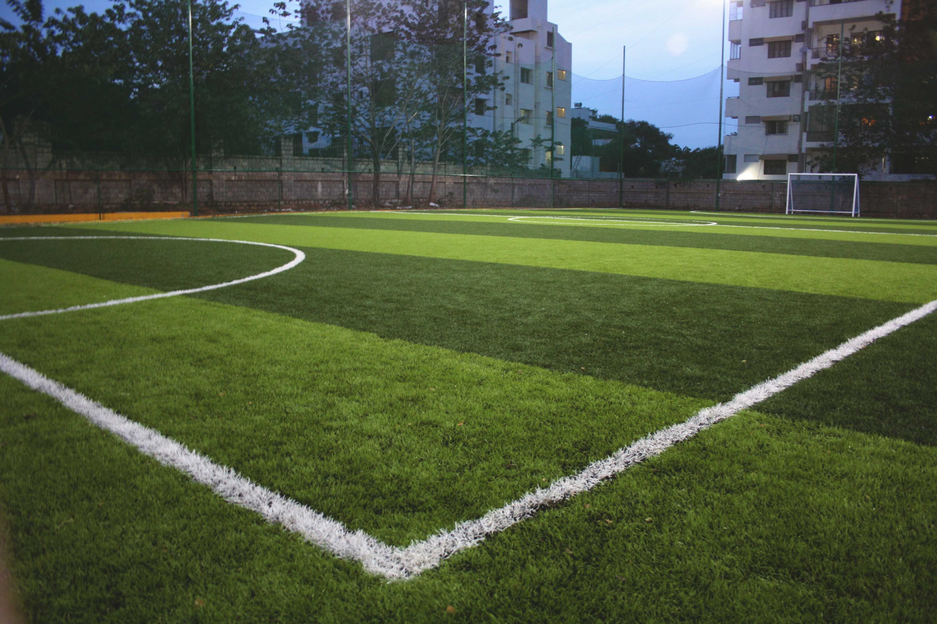 Turf photo 8