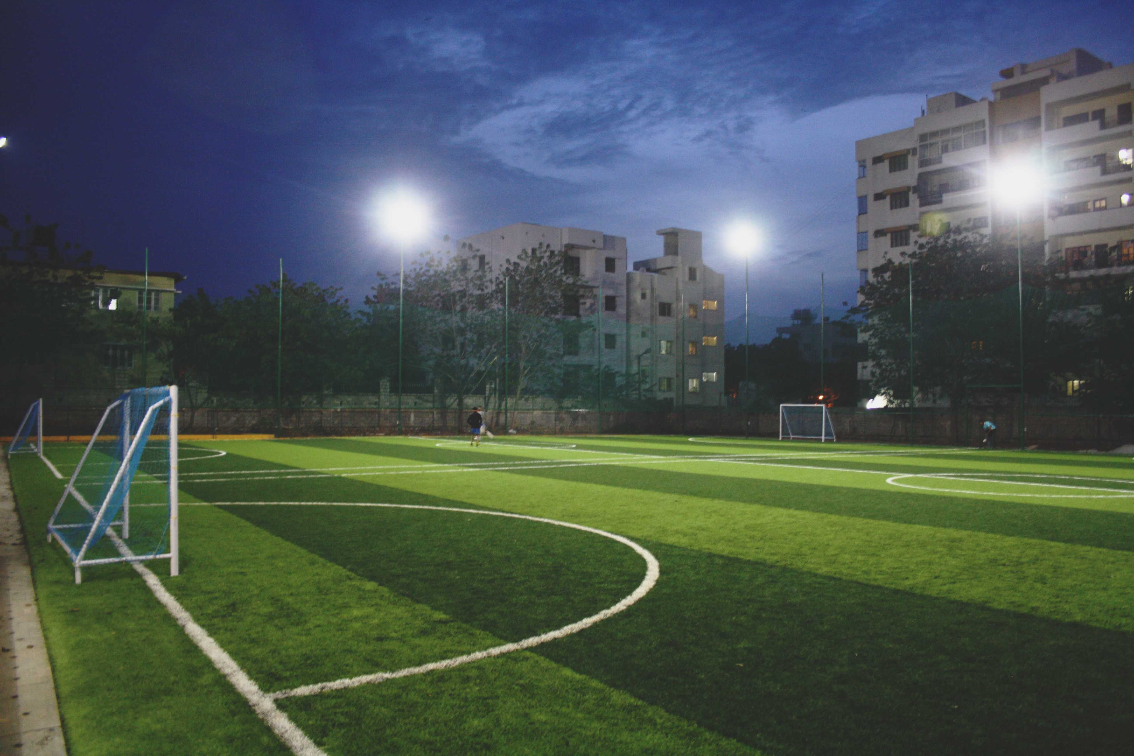 Turf photo 9