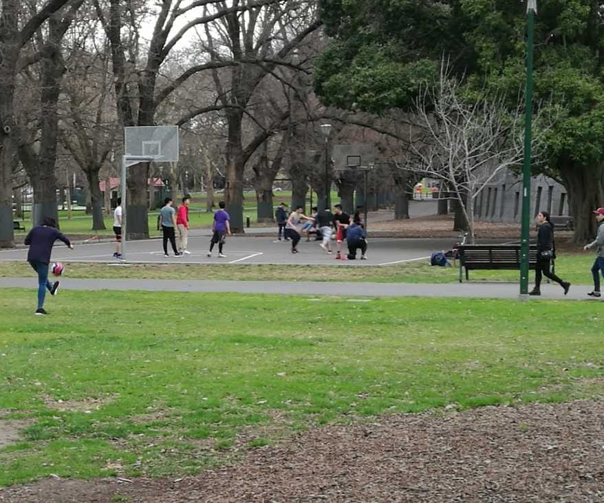Melbourne Museum Basketball Court