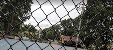 Melbourne Netball Pty Ltd5