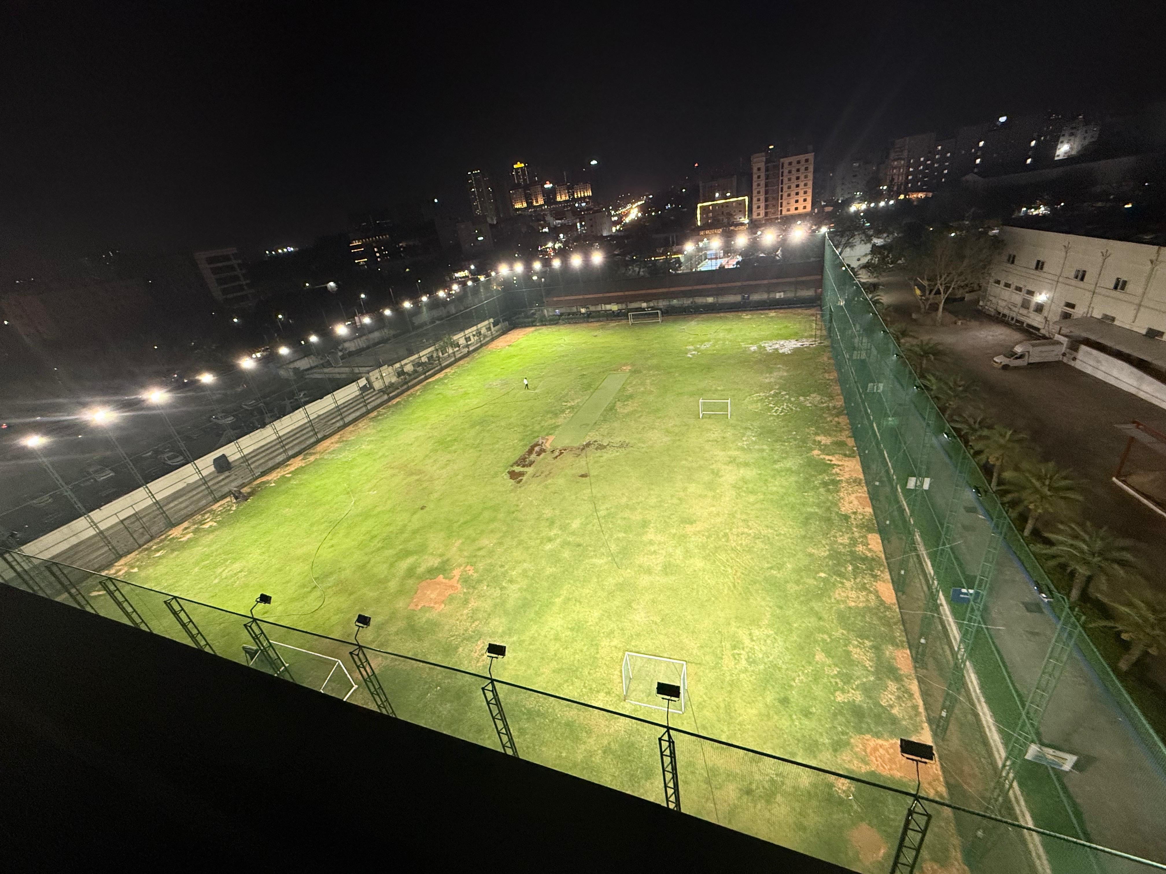 Turf photo 8