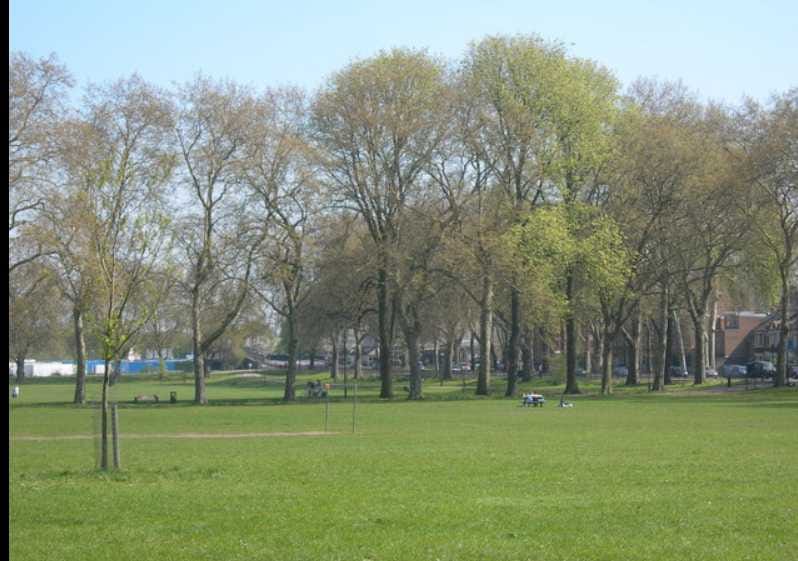 Millfields Park