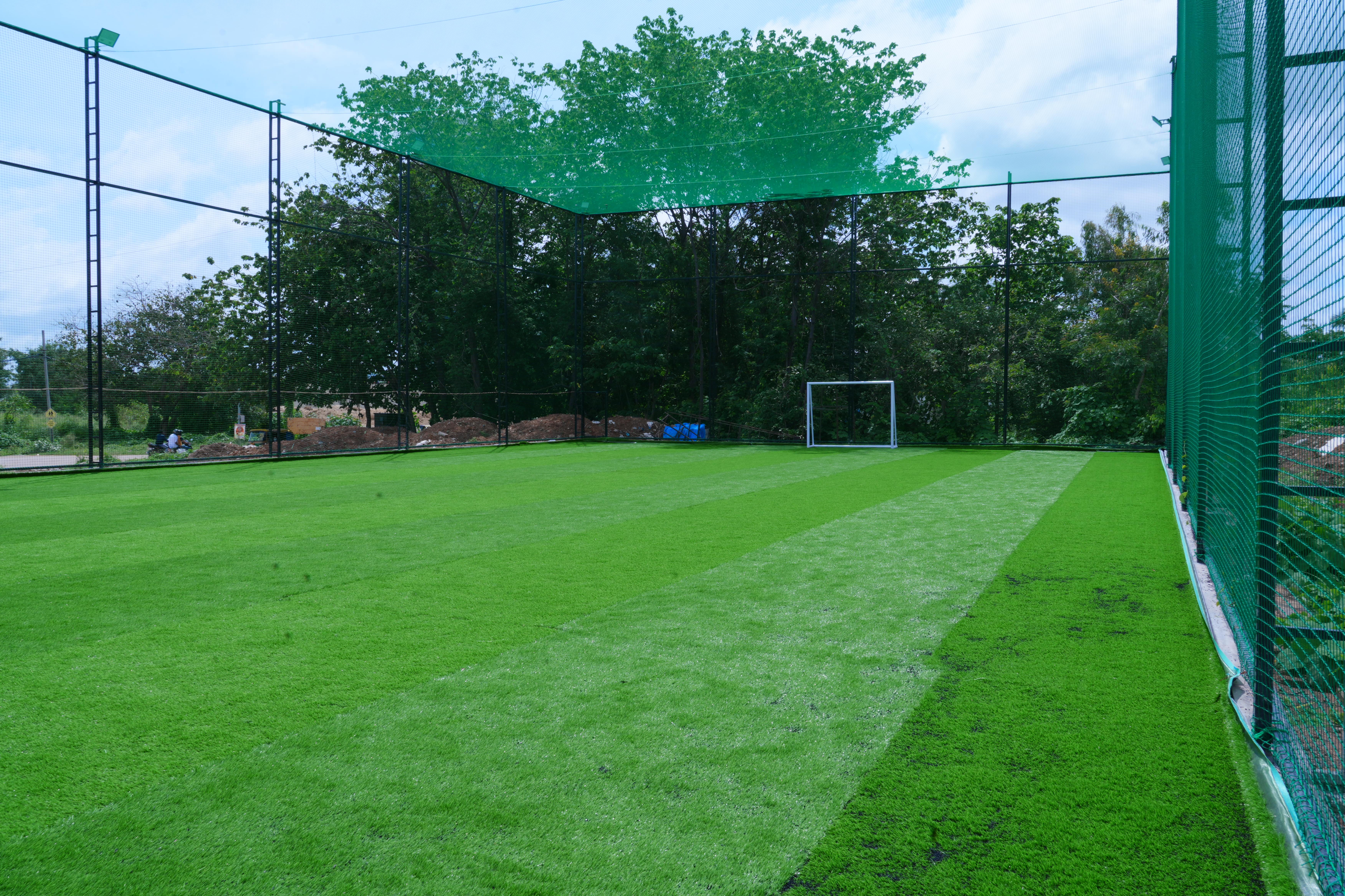 Turf photo 6