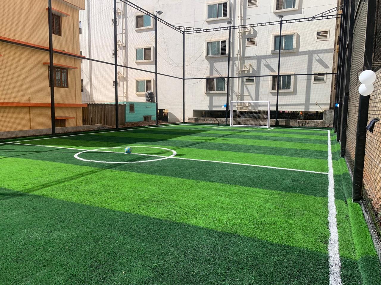 Turf photo 5