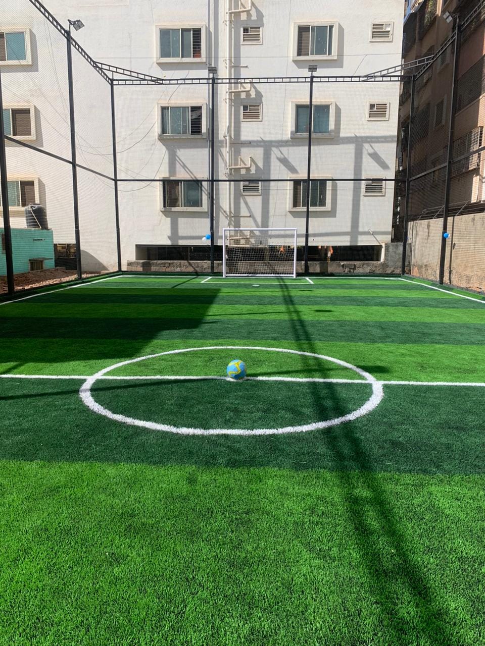 Turf photo 6