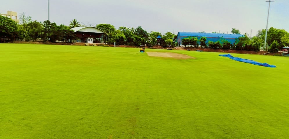 Turf photo 6