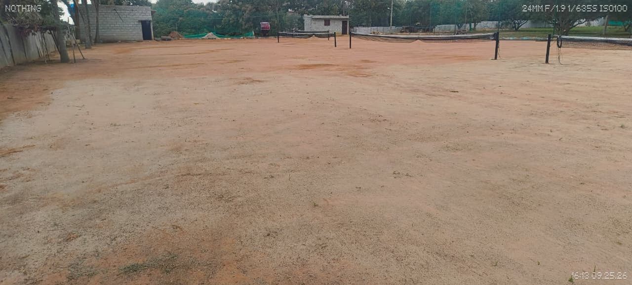 MS Tennis Academy