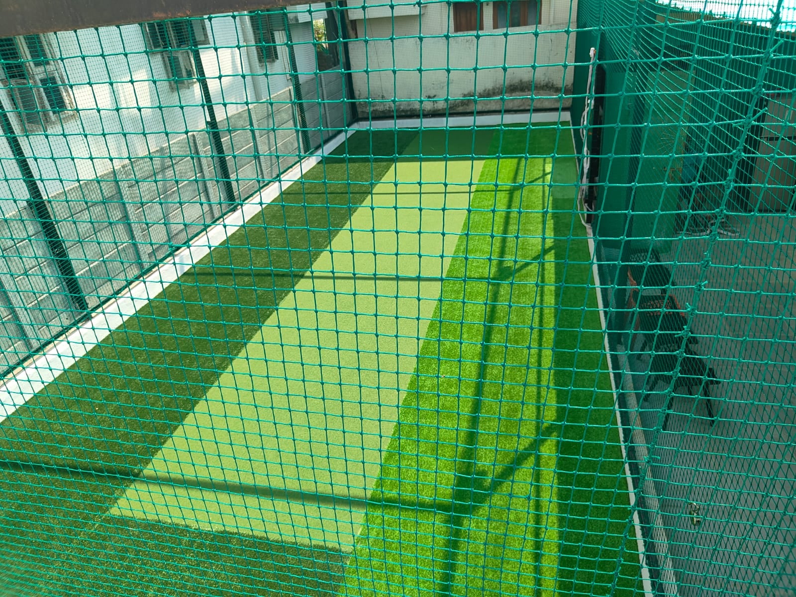 Turf photo 8