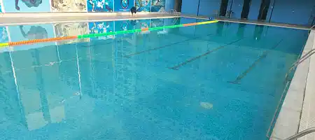 Nadando28 - Swimming Pool