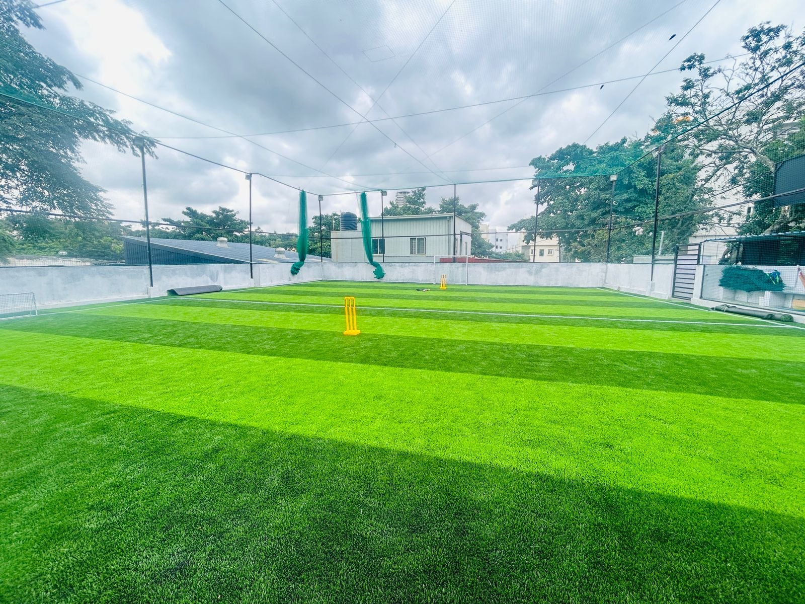 Turf photo 7