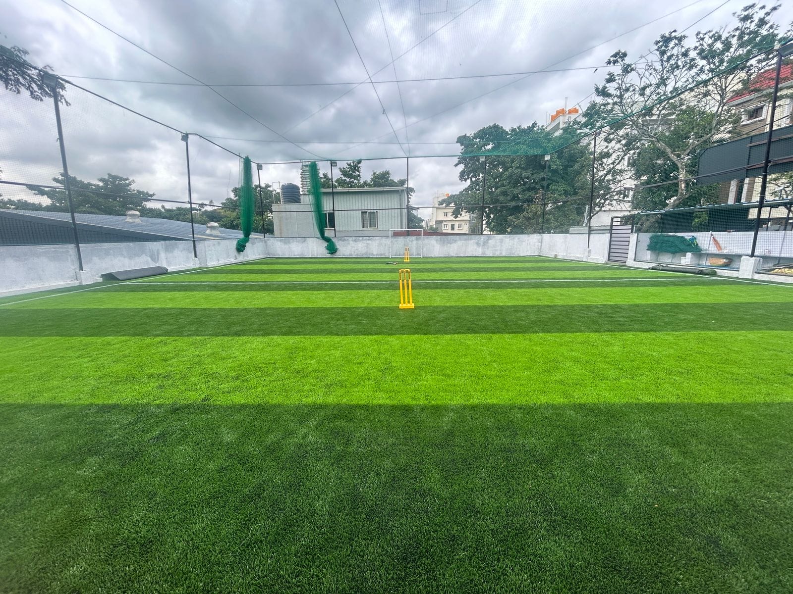 Turf photo 8