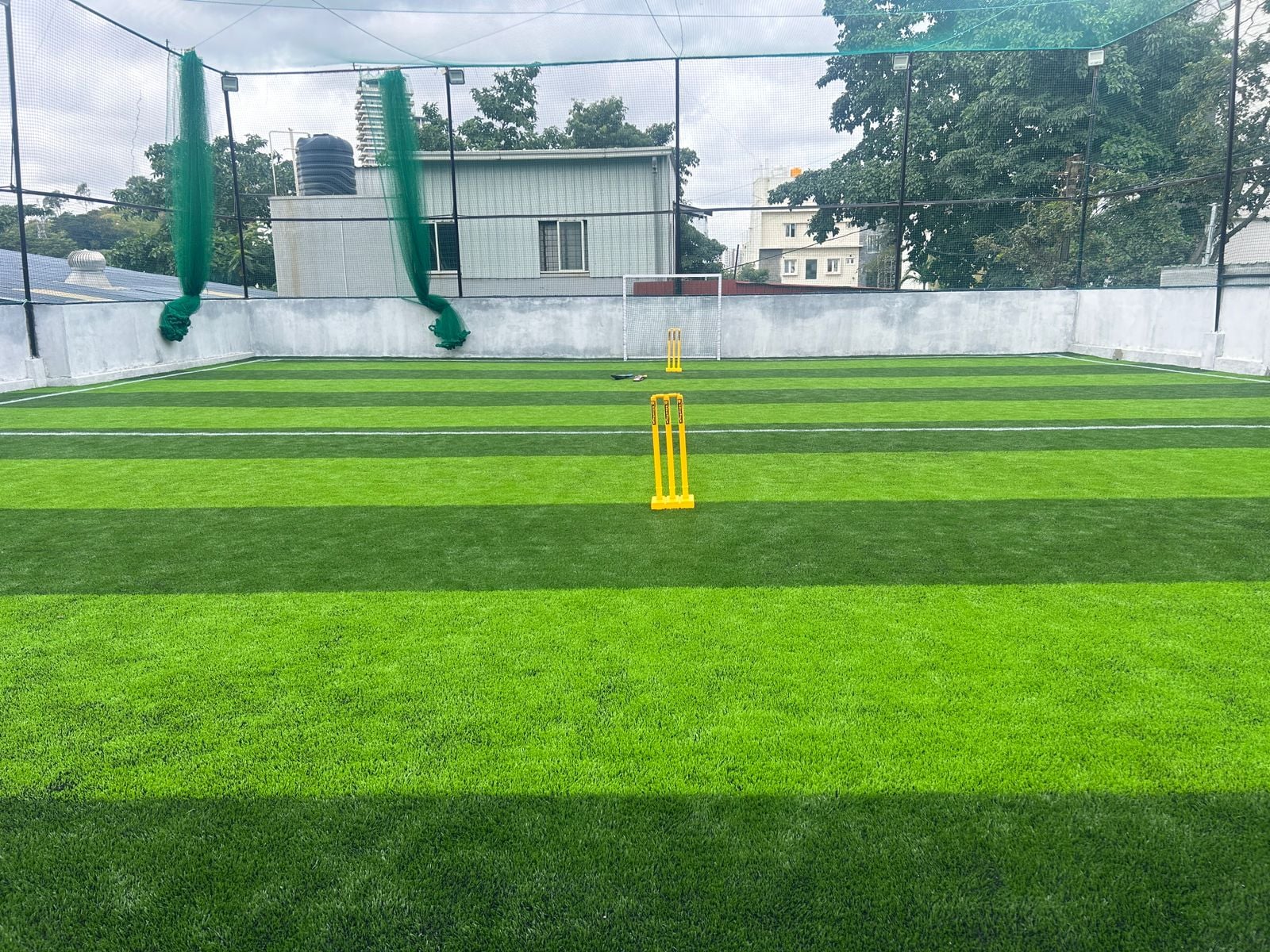 Turf photo 9