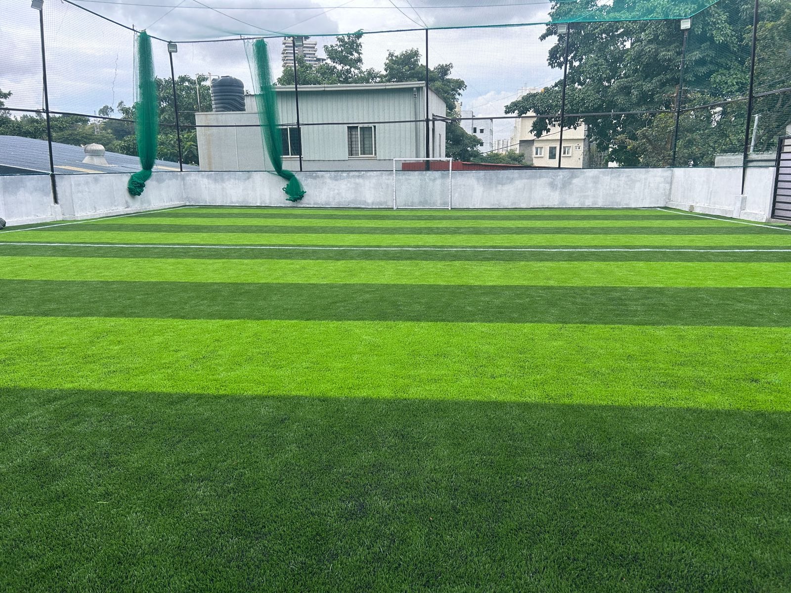 Turf photo 10
